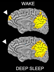 Sleep is not nothing. It's something amazing. Let's leave it at that.